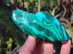 Polished Malacolla Free Forms x 3 From Kulukuluku, Congo - Toprock Gemstones and Minerals 