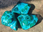 Polished Malacolla Free Forms x 3 From Kulukuluku, Congo - Toprock Gemstones and Minerals 