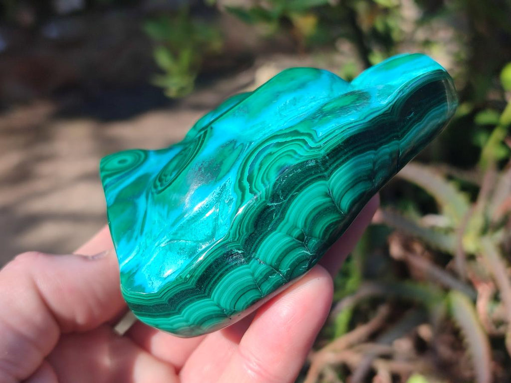 Polished Malacolla Free Forms x 3 From Kulukuluku, Congo - Toprock Gemstones and Minerals 