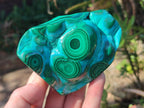 Polished Malacolla Free Forms x 3 From Kulukuluku, Congo - Toprock Gemstones and Minerals 