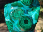 Polished Malacolla Free Forms x 3 From Kulukuluku, Congo - Toprock Gemstones and Minerals 
