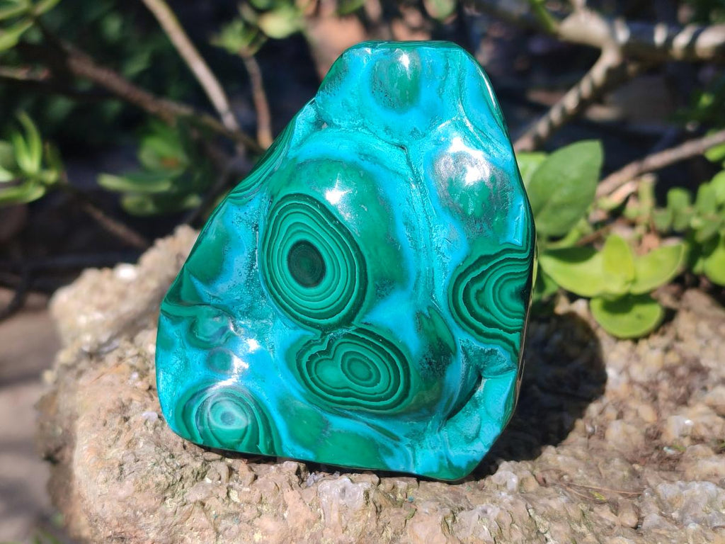 Polished Malacolla Free Forms x 3 From Kulukuluku, Congo - Toprock Gemstones and Minerals 