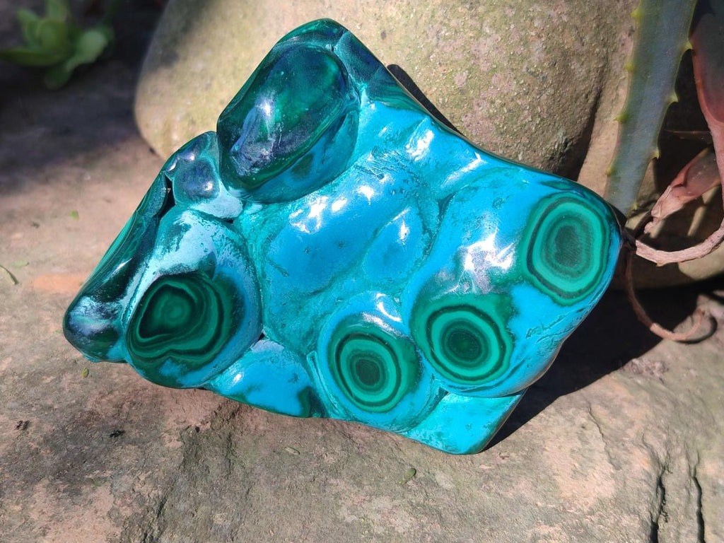 Polished Malacolla Free Forms x 3 From Kulukuluku, Congo - Toprock Gemstones and Minerals 
