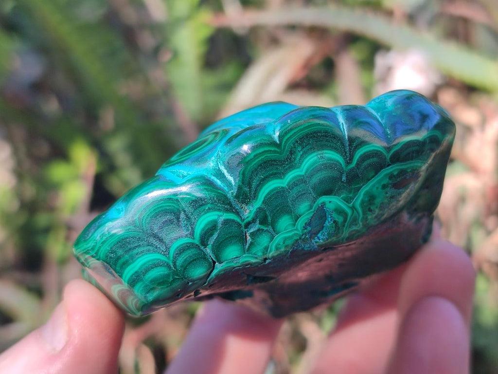 Polished Malacolla Free Forms x 3 From Kulukuluku, Congo - Toprock Gemstones and Minerals 