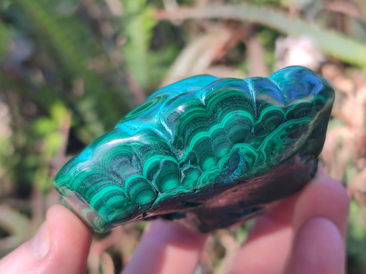 Polished Malacolla Free Forms x 3 From Kulukuluku, Congo - Toprock Gemstones and Minerals 