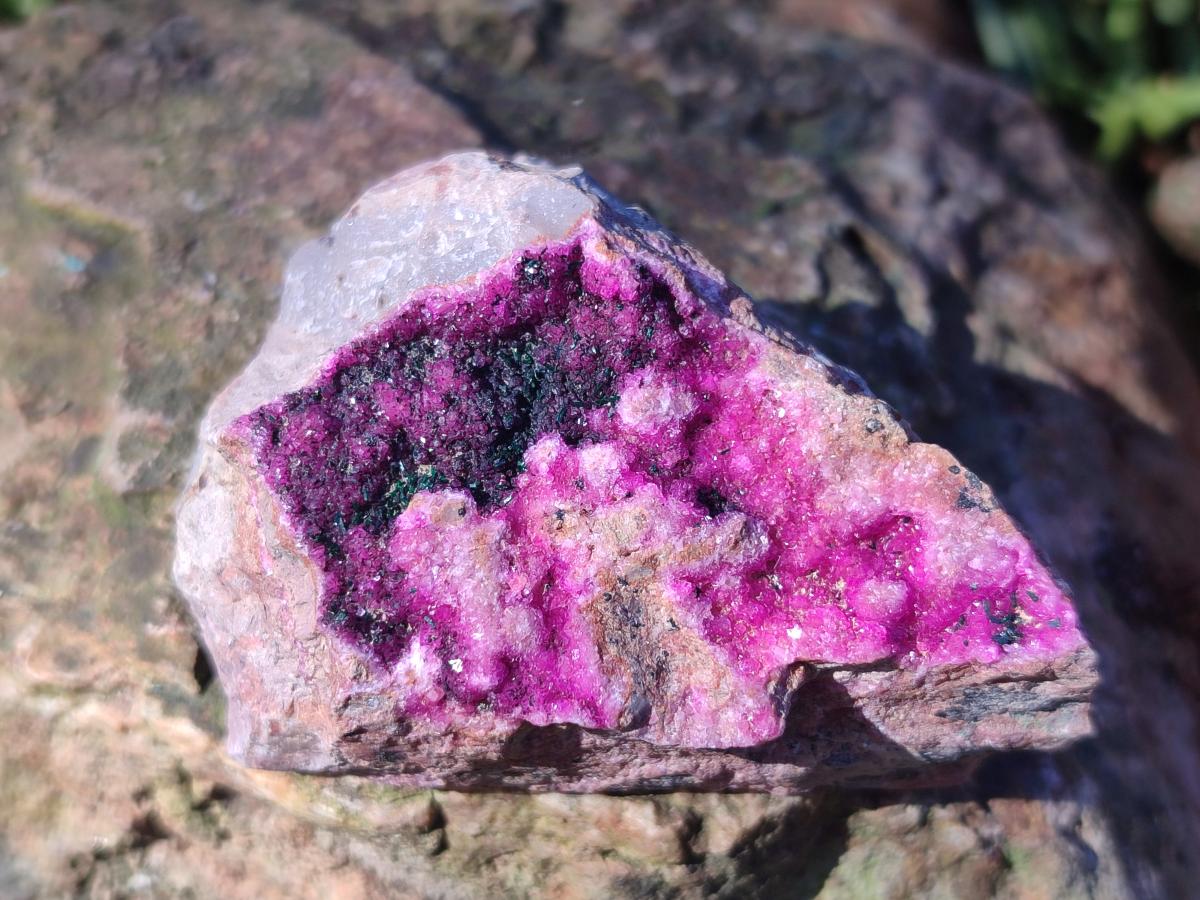 Natural Salrose Cobaltoan Dolomite Specimens with Associated Minerals x 12 From Kakanda, Congo - Toprock Gemstones and Minerals 