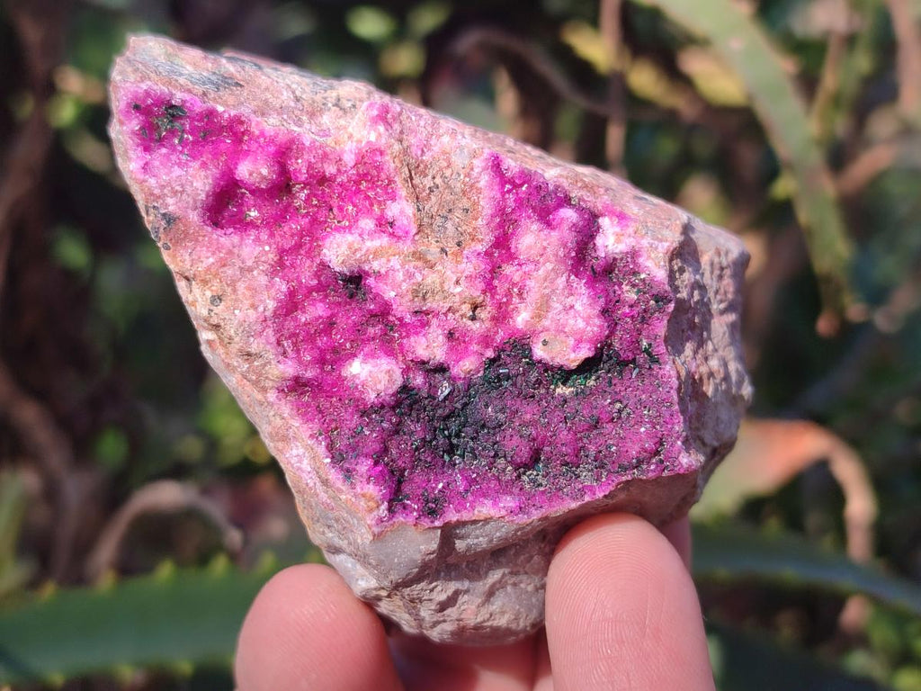 Natural Salrose Cobaltoan Dolomite Specimens with Associated Minerals x 12 From Kakanda, Congo - Toprock Gemstones and Minerals 