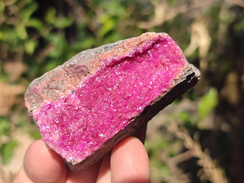 Natural Salrose Cobaltoan Dolomite Specimens with Associated Minerals x 12 From Kakanda, Congo - Toprock Gemstones and Minerals 