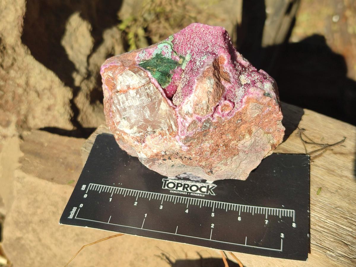 Natural Salrose Cobaltoan Dolomite Specimens with Associated Minerals x 12 From Kakanda, Congo - Toprock Gemstones and Minerals 