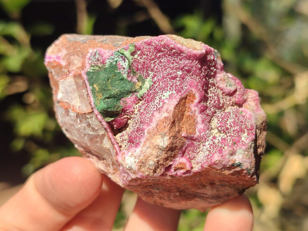Natural Salrose Cobaltoan Dolomite Specimens with Associated Minerals x 12 From Kakanda, Congo - Toprock Gemstones and Minerals 
