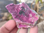 Natural Salrose Cobaltoan Dolomite Specimens with Associated Minerals x 12 From Kakanda, Congo - Toprock Gemstones and Minerals 