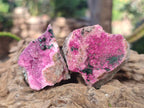 Natural Salrose Cobaltoan Dolomite Specimens with Associated Minerals x 12 From Kakanda, Congo - Toprock Gemstones and Minerals 