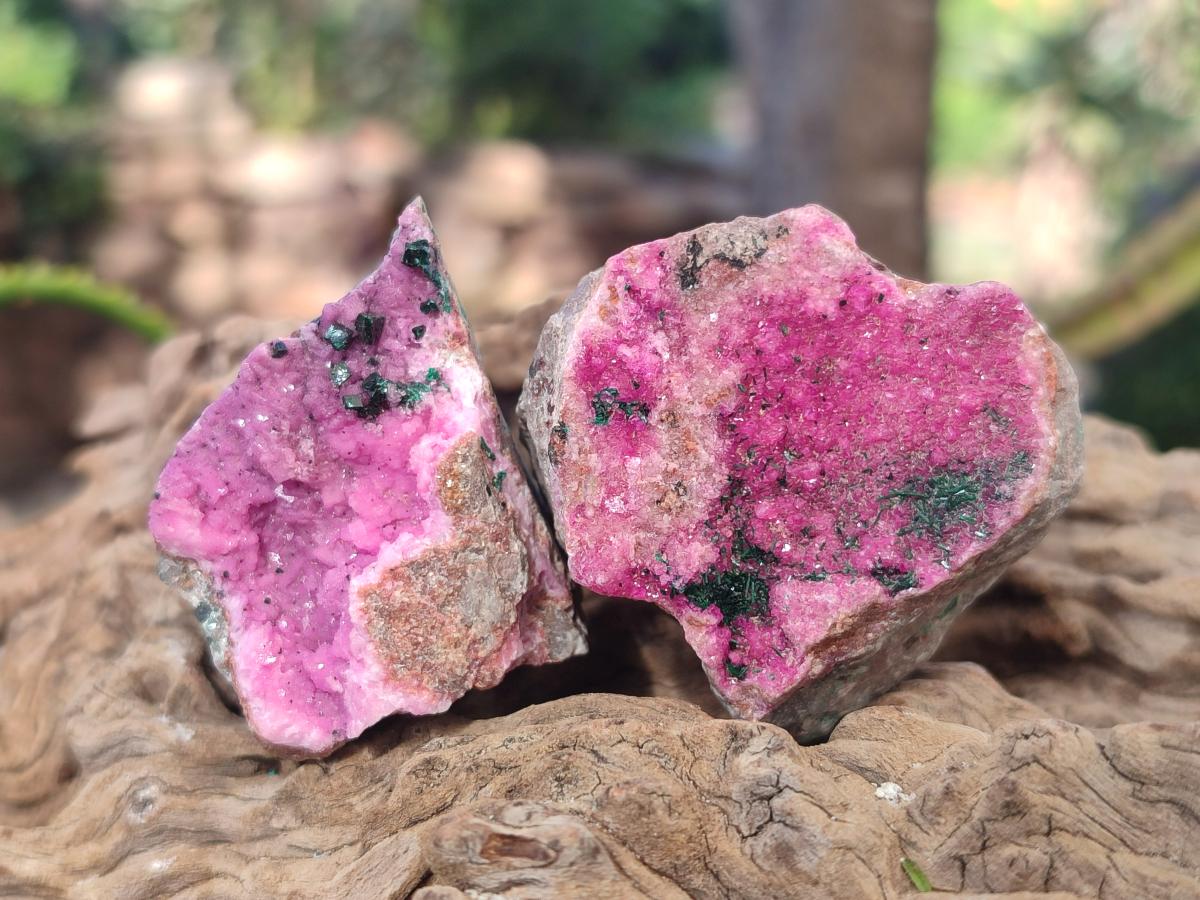 Natural Salrose Cobaltoan Dolomite Specimens with Associated Minerals x 12 From Kakanda, Congo - Toprock Gemstones and Minerals 