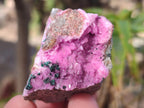 Natural Salrose Cobaltoan Dolomite Specimens with Associated Minerals x 12 From Kakanda, Congo - Toprock Gemstones and Minerals 