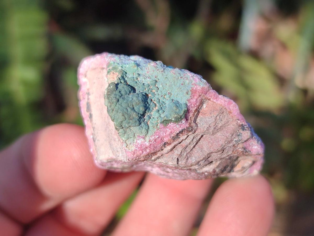 Natural Salrose Cobaltoan Dolomite Specimens with Associated Minerals x 12 From Kakanda, Congo - Toprock Gemstones and Minerals 