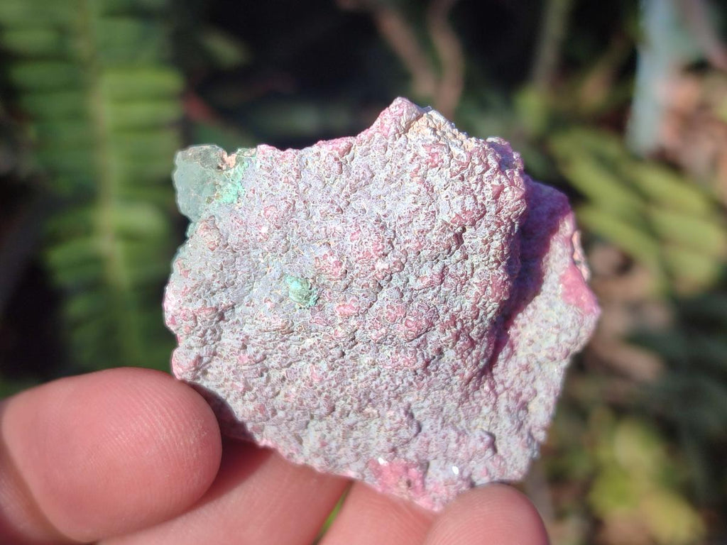 Natural Salrose Cobaltoan Dolomite Specimens with Associated Minerals x 12 From Kakanda, Congo - Toprock Gemstones and Minerals 