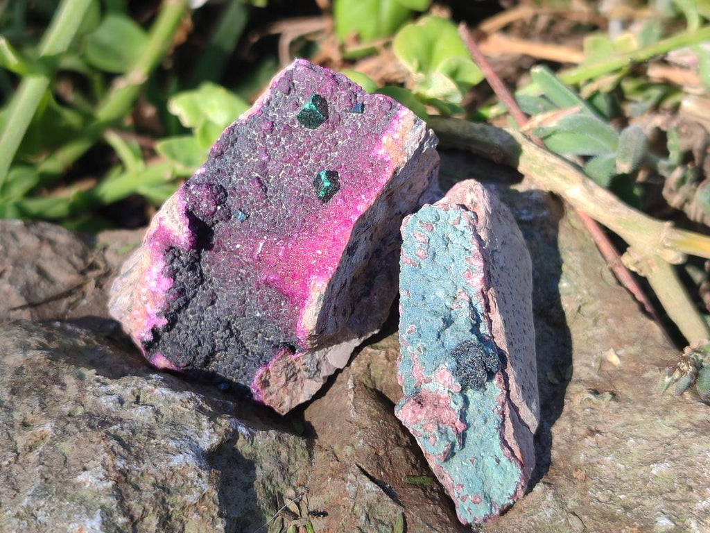 Natural Salrose Cobaltoan Dolomite Specimens with Associated Minerals x 12 From Kakanda, Congo - Toprock Gemstones and Minerals 