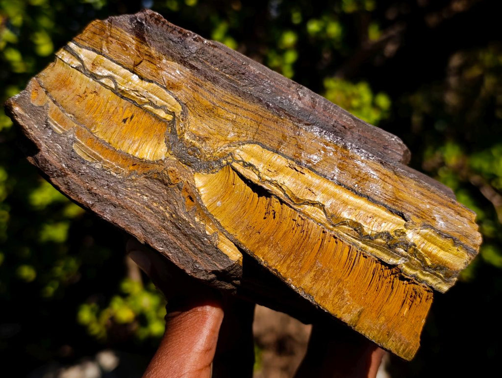 Natural Golden Tigers Eye and Cordierite Thick Slabs x 2 From South Africa and Madagascar - Toprock Gemstones and Minerals 