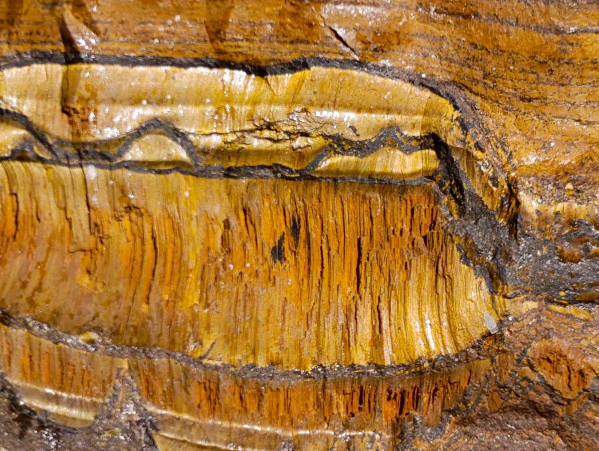Natural Golden Tigers Eye and Cordierite Thick Slabs x 2 From South Africa and Madagascar - Toprock Gemstones and Minerals 