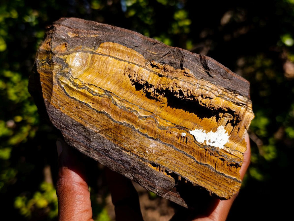 Natural Golden Tigers Eye and Cordierite Thick Slabs x 2 From South Africa and Madagascar - Toprock Gemstones and Minerals 