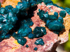 Natural Cabinet Size Dioptase on Dolomite Specimens with Associated Minerals x 2 From Likasi, Congo - Toprock Gemstones and Minerals 