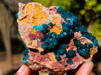 Natural Cabinet Size Dioptase on Dolomite Specimens with Associated Minerals x 2 From Likasi, Congo - Toprock Gemstones and Minerals 
