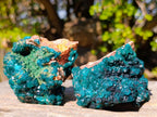 Natural Cabinet Size Dioptase on Dolomite Specimens with Associated Minerals x 2 From Likasi, Congo - Toprock Gemstones and Minerals 