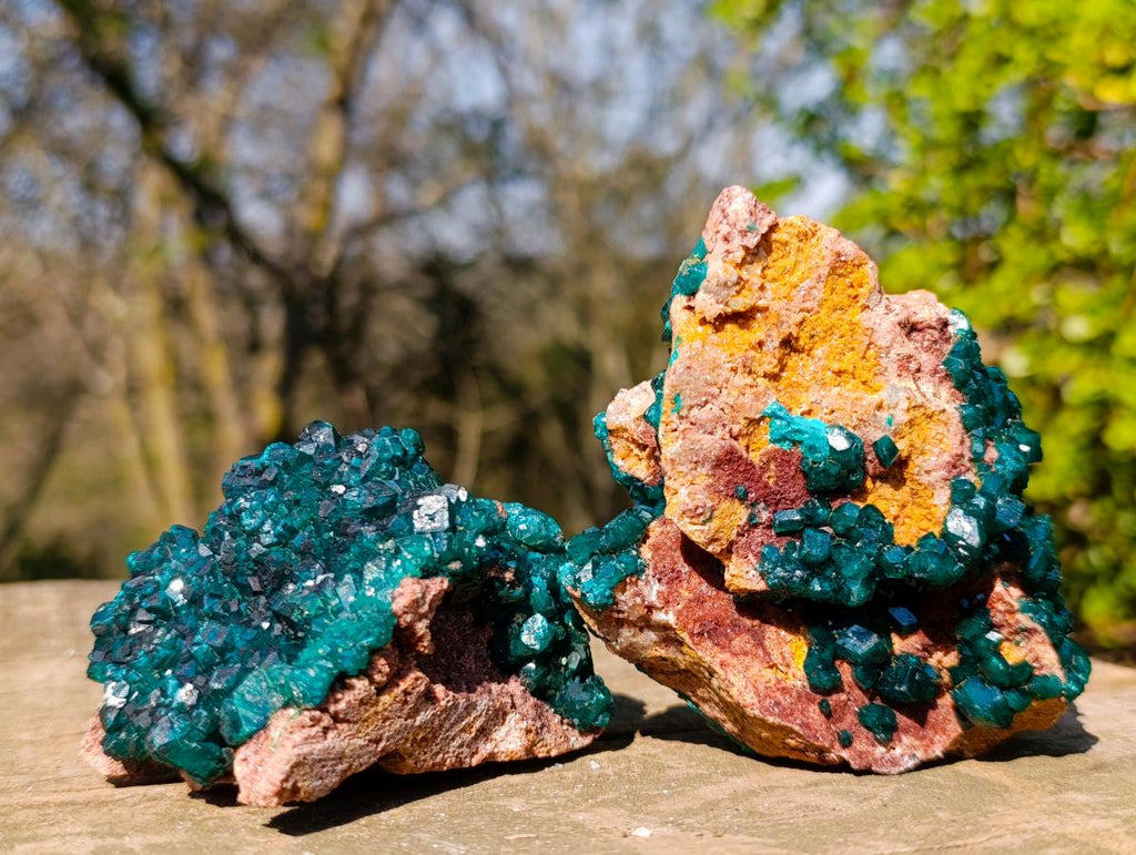 Natural Cabinet Size Dioptase on Dolomite Specimens with Associated Minerals x 2 From Likasi, Congo - Toprock Gemstones and Minerals 