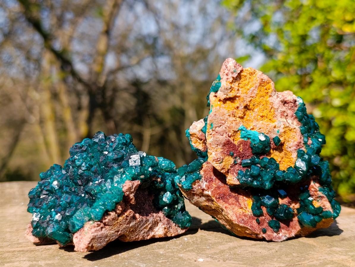 Natural Cabinet Size Dioptase on Dolomite Specimens with Associated Minerals x 2 From Likasi, Congo - Toprock Gemstones and Minerals 