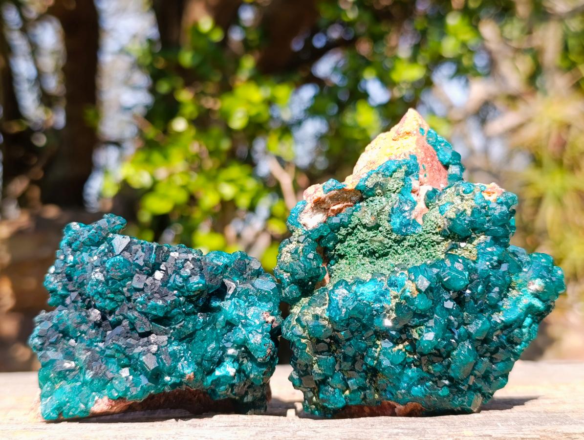 Natural Cabinet Size Dioptase on Dolomite Specimens with Associated Minerals x 2 From Likasi, Congo - Toprock Gemstones and Minerals 
