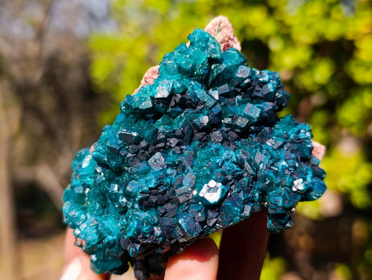 Natural Cabinet Size Dioptase on Dolomite Specimens with Associated Minerals x 2 From Likasi, Congo - Toprock Gemstones and Minerals 