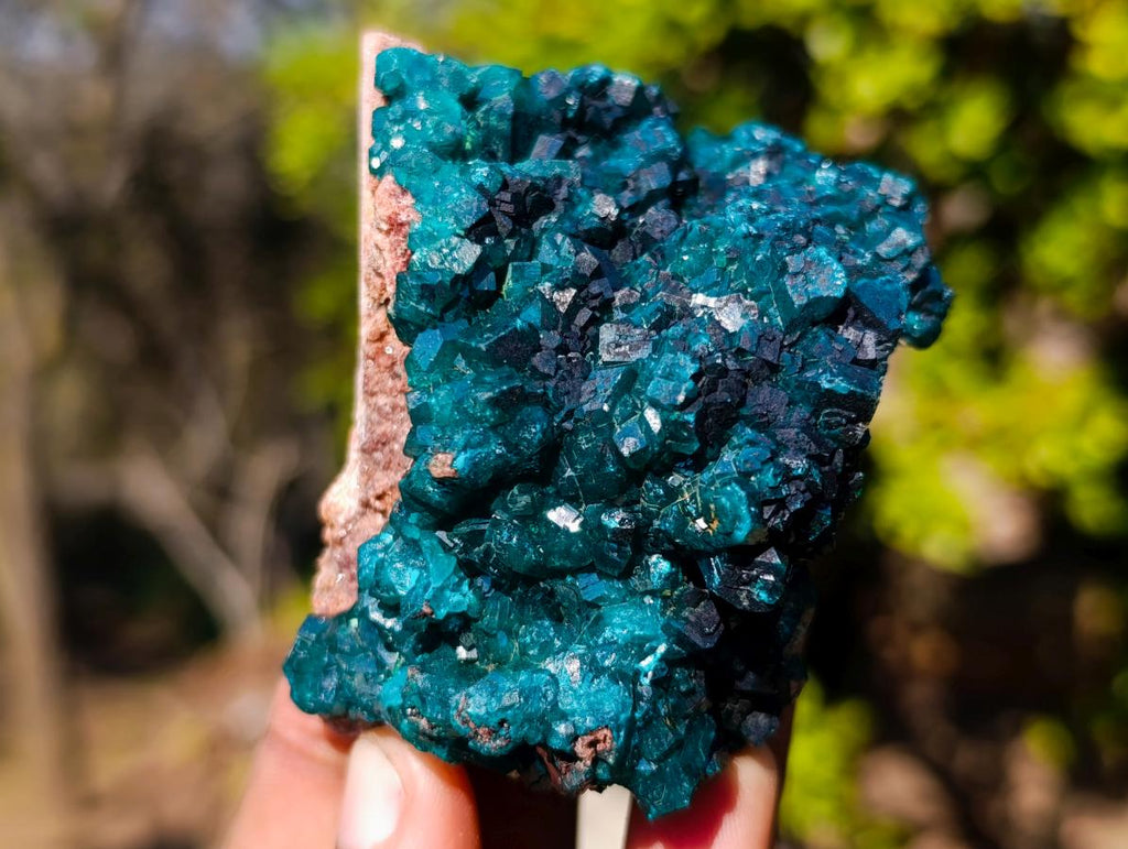 Natural Cabinet Size Dioptase on Dolomite Specimens with Associated Minerals x 2 From Likasi, Congo - Toprock Gemstones and Minerals 