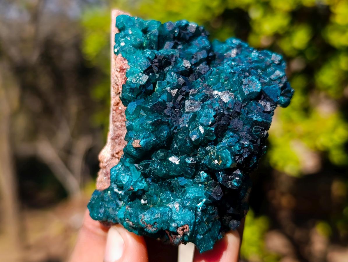 Natural Cabinet Size Dioptase on Dolomite Specimens with Associated Minerals x 2 From Likasi, Congo - Toprock Gemstones and Minerals 
