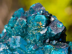 Natural Cabinet Size Dioptase on Dolomite Specimens with Associated Minerals x 2 From Likasi, Congo - Toprock Gemstones and Minerals 