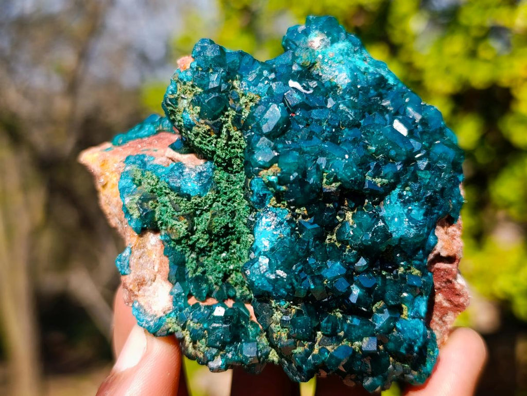 Natural Cabinet Size Dioptase on Dolomite Specimens with Associated Minerals x 2 From Likasi, Congo - Toprock Gemstones and Minerals 