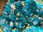 Natural Cabinet Size Dioptase on Dolomite Specimens with Associated Minerals x 2 From Likasi, Congo - Toprock Gemstones and Minerals 