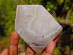 Polished Banded Agate House Shaped Slices x 6 From Madagascar - Toprock Gemstones and Minerals 