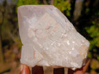 Polished and Natural Mixed Malagasy Quartz Double Terminated Crystals and Clusters x 6 From  Madagascar - Toprock Gemstones and Minerals 