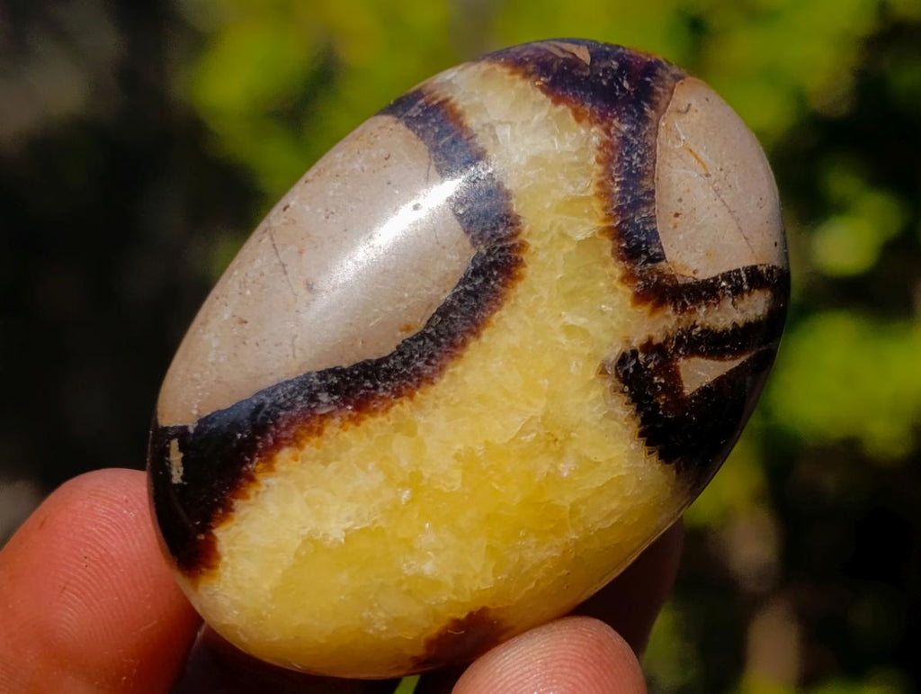Polished Mixed Multi Mineral Galets x 25 From Southern Africa - Toprock Gemstones and Minerals 