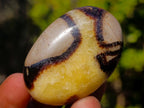 Polished Mixed Multi Mineral Galets x 25 From Southern Africa - Toprock Gemstones and Minerals 