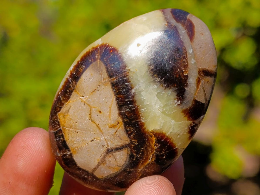 Polished Mixed Multi Mineral Galets x 25 From Southern Africa - Toprock Gemstones and Minerals 
