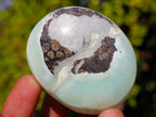 Polished Mixed Multi Mineral Galets x 25 From Southern Africa - Toprock Gemstones and Minerals 
