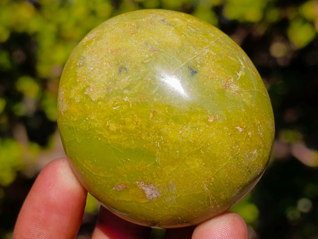 Polished Mixed Multi Mineral Galets x 25 From Southern Africa - Toprock Gemstones and Minerals 