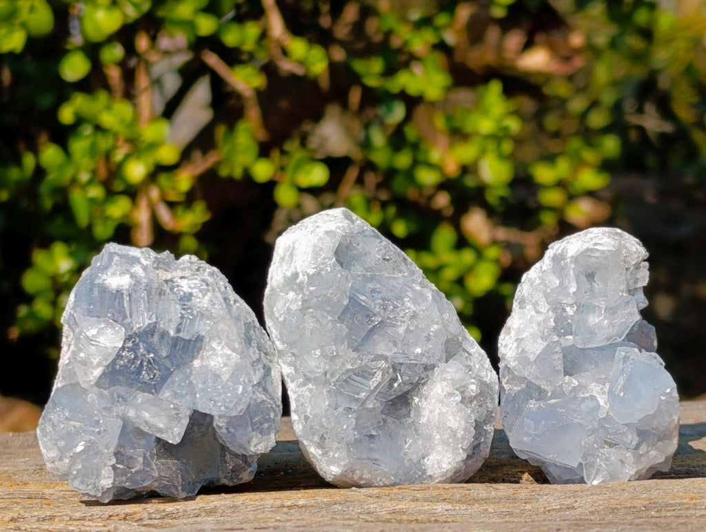 Natural Mini Blue Celestite Specimens x 56 From Sakoany, Madagascar - Toprock Gemstones and Minerals 