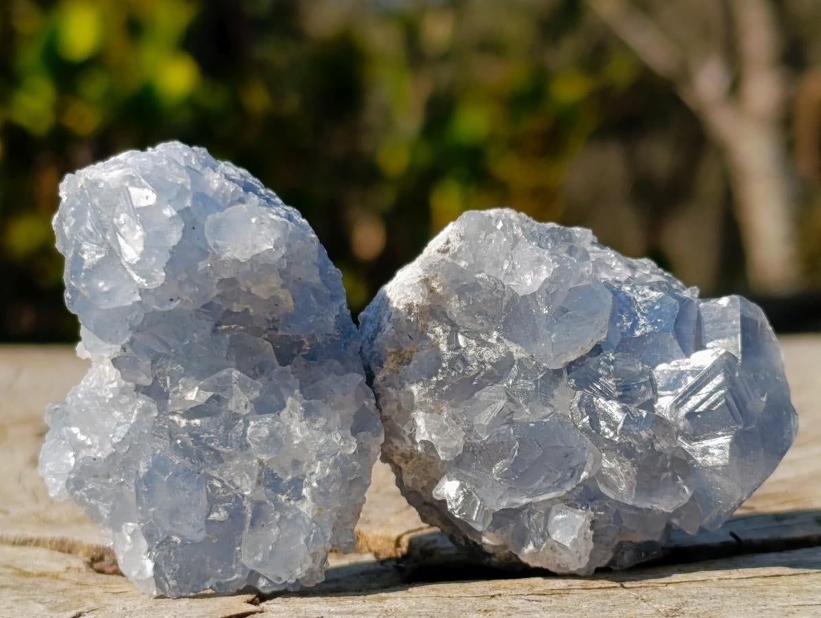 Natural Mini Blue Celestite Specimens x 56 From Sakoany, Madagascar - Toprock Gemstones and Minerals 