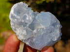 Natural Mini Blue Celestite Specimens x 56 From Sakoany, Madagascar - Toprock Gemstones and Minerals 