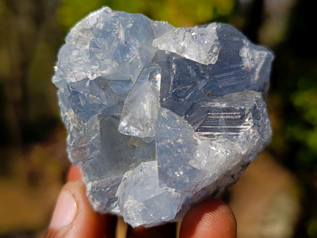 Natural Mini Blue Celestite Specimens x 56 From Sakoany, Madagascar - Toprock Gemstones and Minerals 