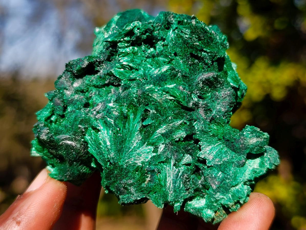 Natural Silky Malachite Specimens x 6 From Kasompe, Congo - Toprock Gemstones and Minerals 
