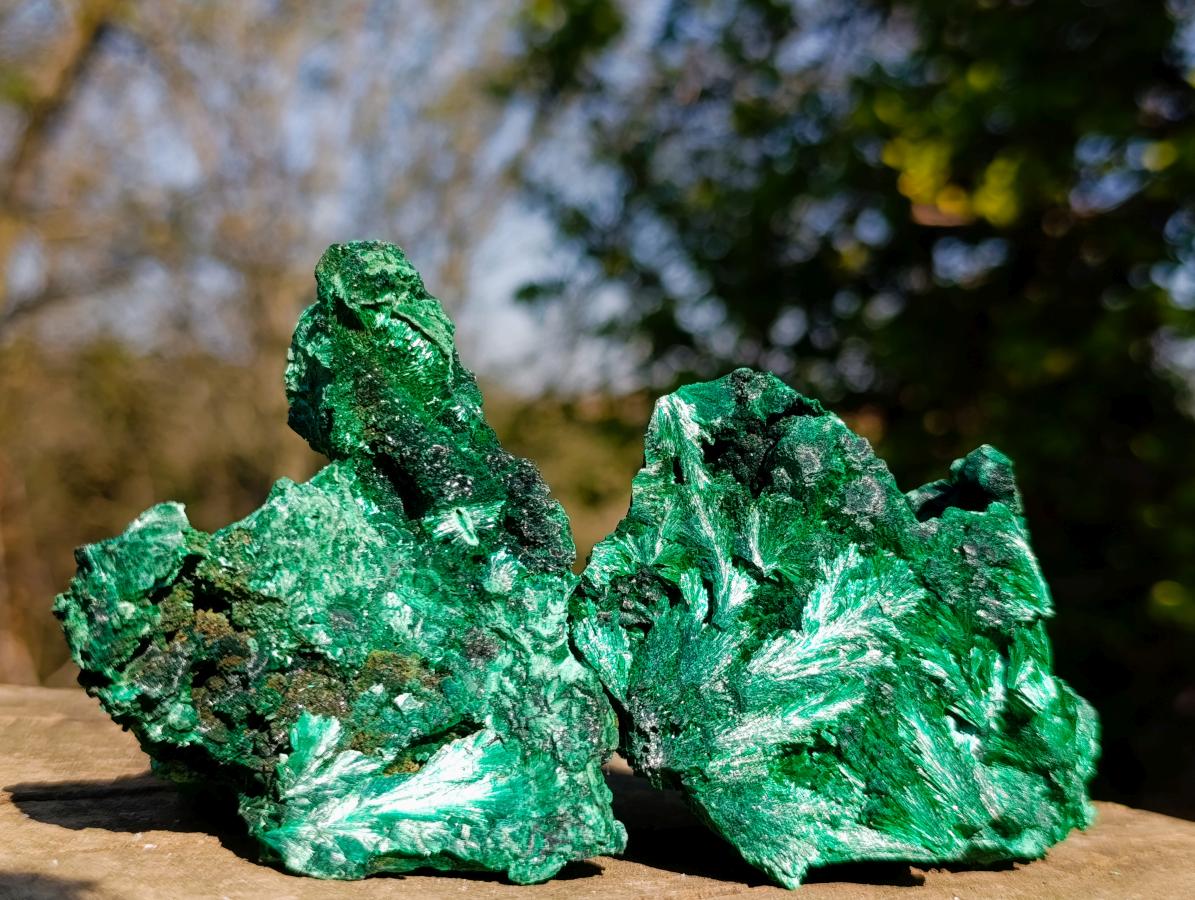 Natural Silky Malachite Specimens x 6 From Kasompe, Congo - Toprock Gemstones and Minerals 