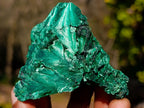 Natural Silky Malachite Specimens x 6 From Kasompe, Congo - Toprock Gemstones and Minerals 